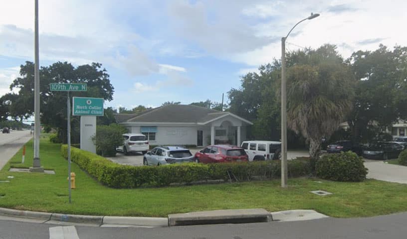 North Collier Animal Clinic