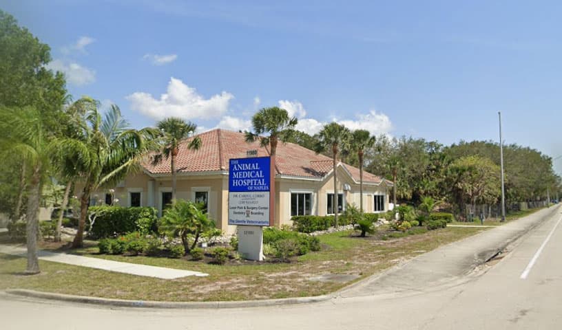 Animal Medical Hospital of Naples