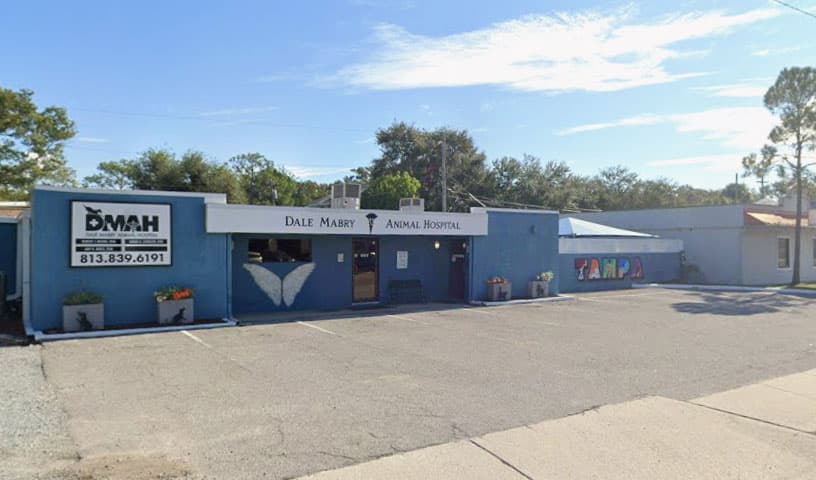 Dale Mabry Animal Hospital