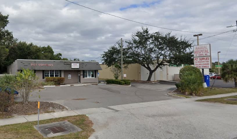 Animal Hospital of Tampa Bay