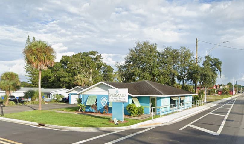 Mermaid Vet Hospital
