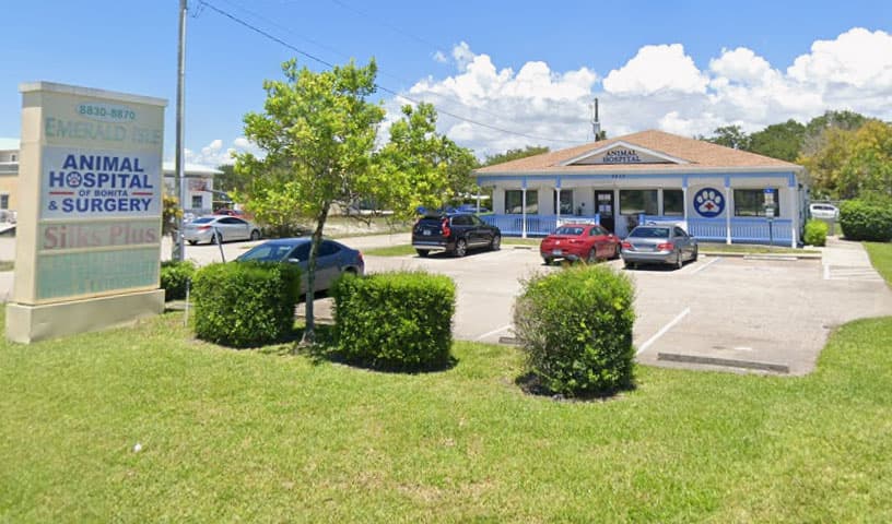 Animal Hospital of Bonita and Boarding