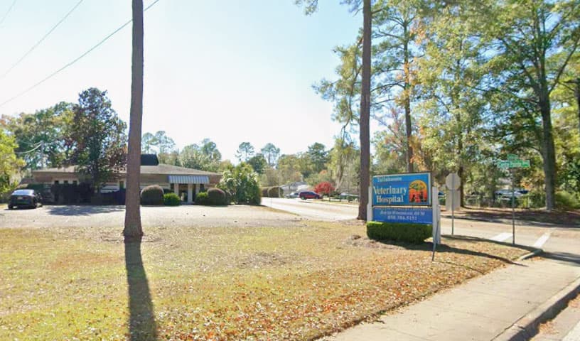 Tallahassee Veterinary Hospital