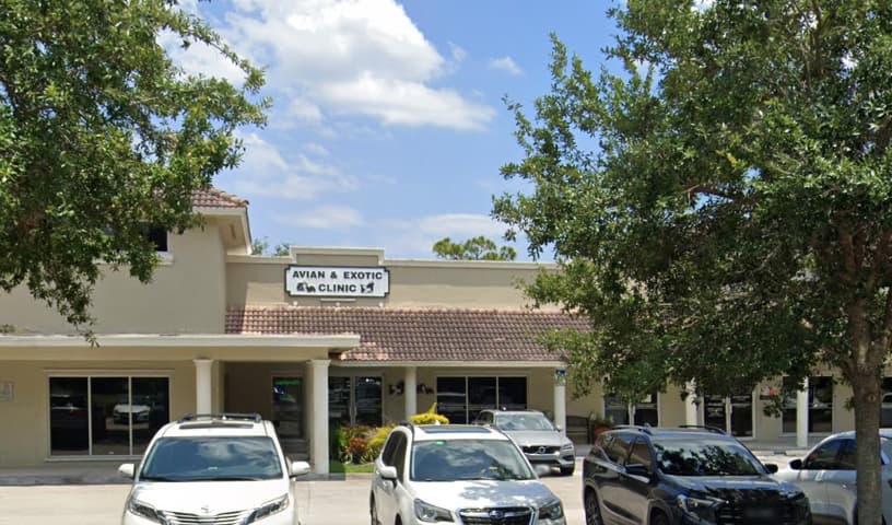 Avian & Exotic Clinic of Palm City