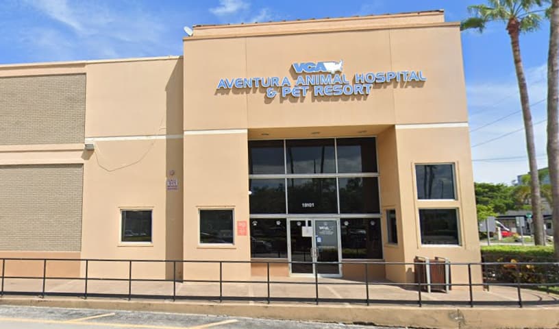 VCA Aventura Animal Hospital & Pet Resort