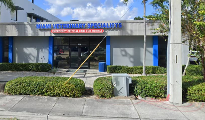 Miami Veterinary Specialists