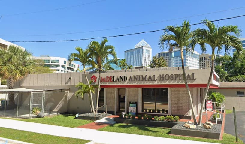 Dadeland Animal Hospital
