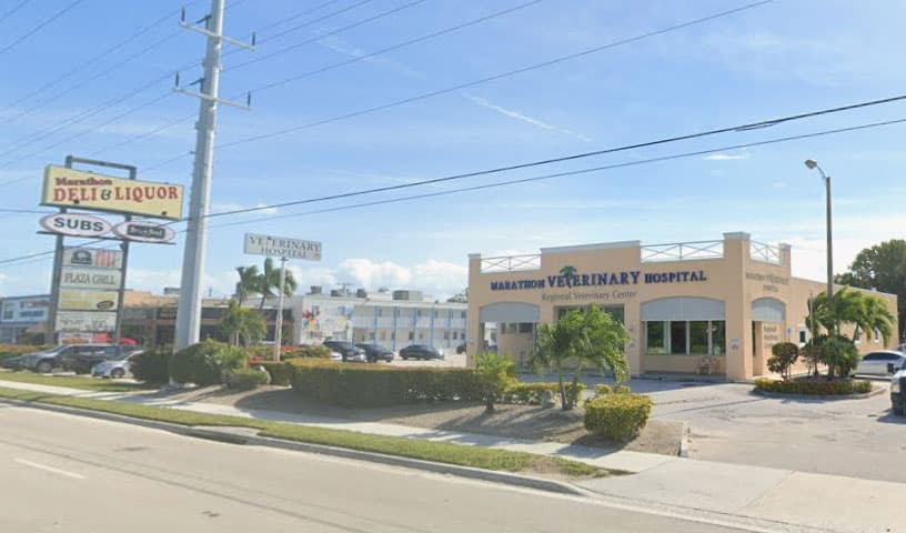 Marathon Veterinary Hospital