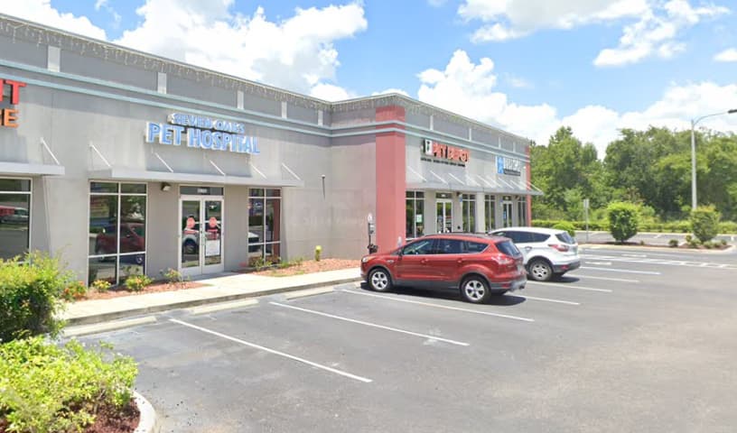 Seven Oaks Pet Hospital Wesley Chapel