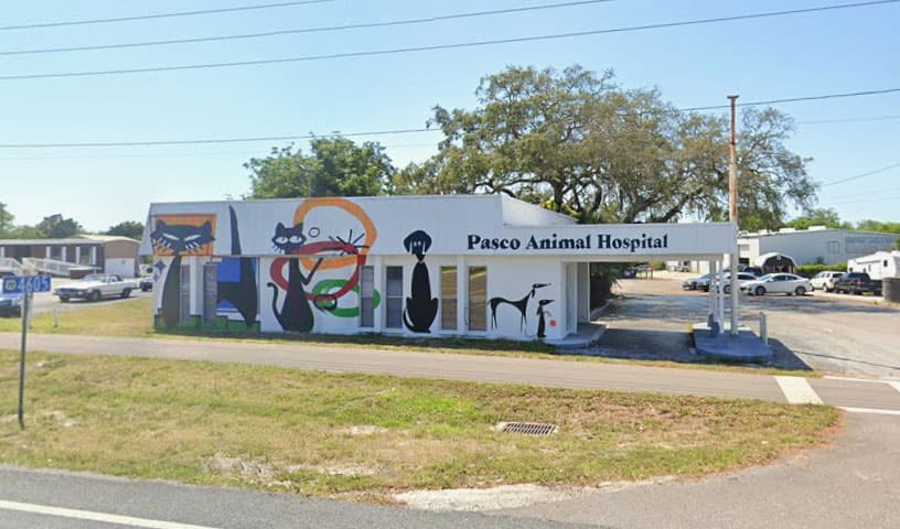 Pasco Animal Hospital