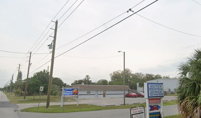 Gulfview Animal Hospital