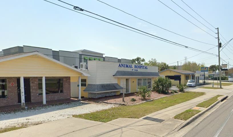 Animal Hospital of Largo
