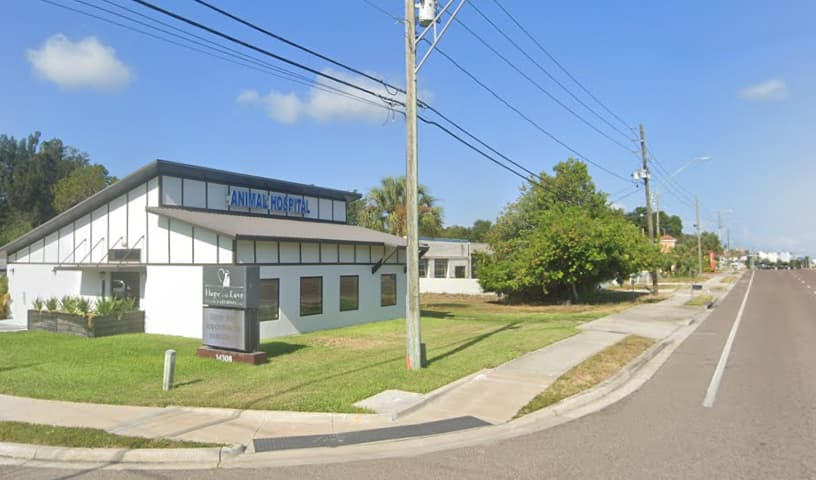 Hope And Love Veterinary Hospital