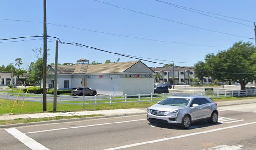 Bay Road Animal Hospital