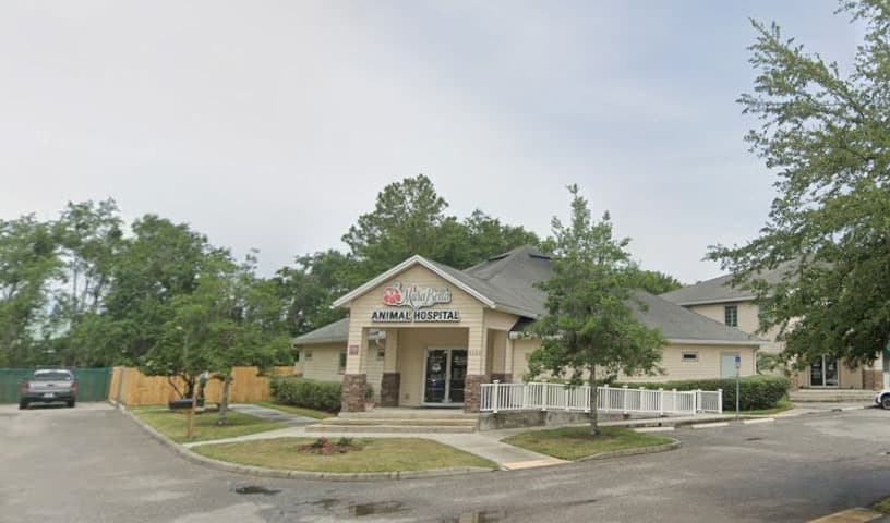 MuraBella Animal Hospital