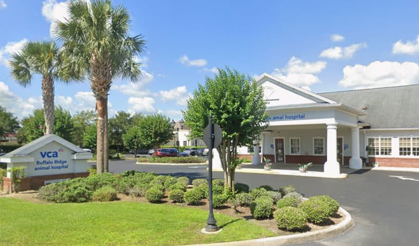 VCA Buffalo Ridge Animal Hospital