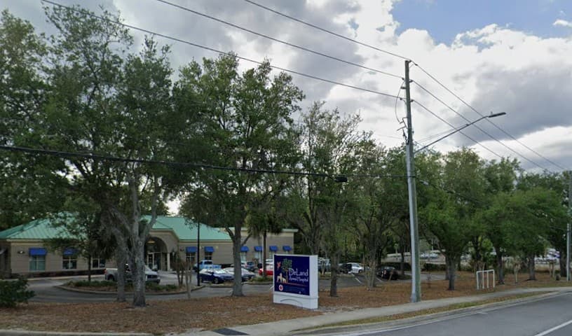 VCA DeLand Animal Hospital