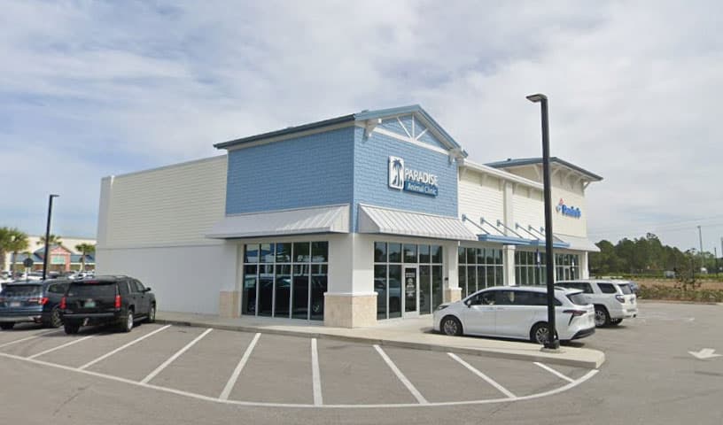 Paradise Animal Clinic of Daytona