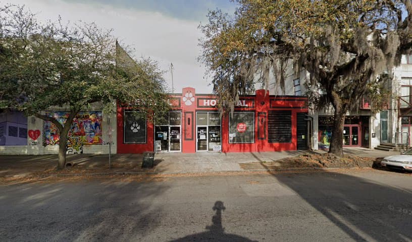 Central Animal Hospital
