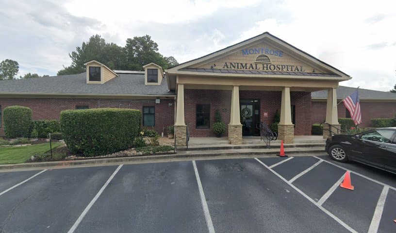 Montrose Animal Hospital