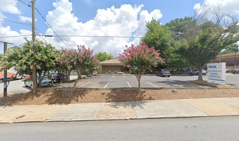 VCA Buckhead Animal Hospital