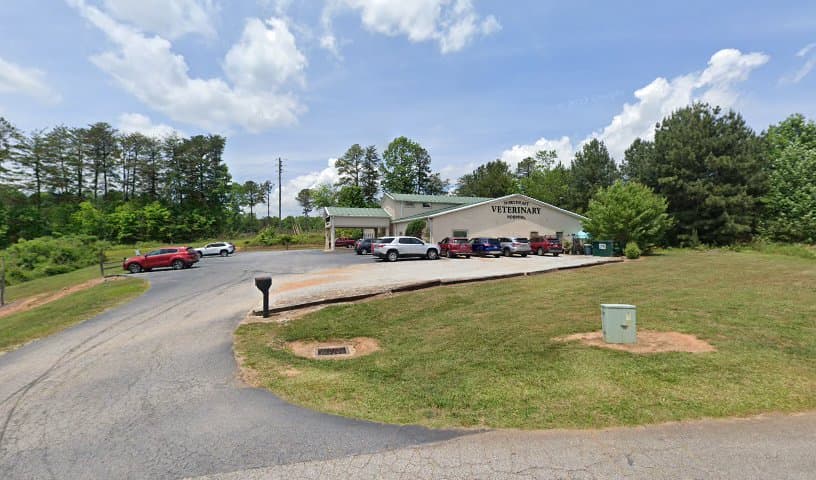 Northeast Veterinary Hospital