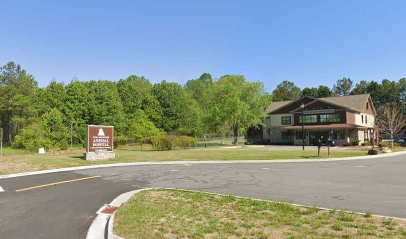 Coal Mountain Animal Hospital