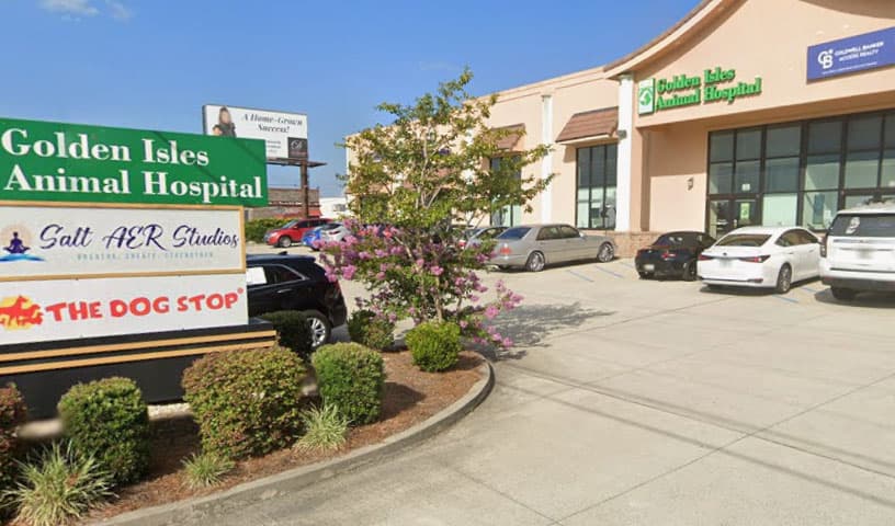 Golden Isles Animal Hospital