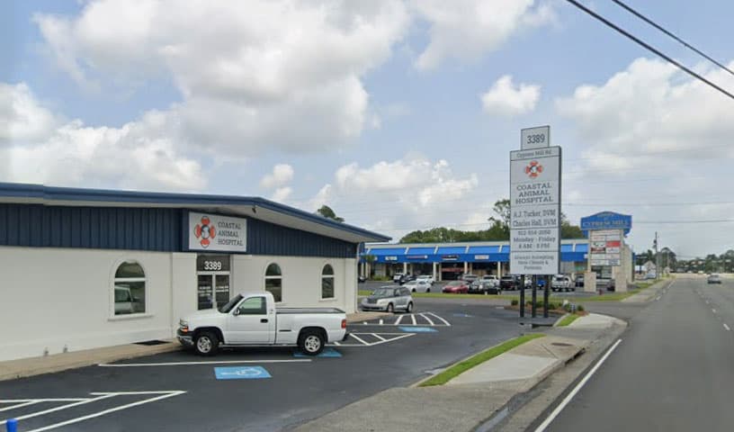 Coastal Animal Hospital