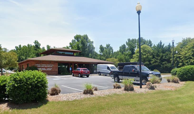 Lance Animal Hospital