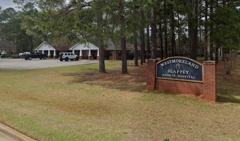 Westmoreland & Slappey Animal Hospital