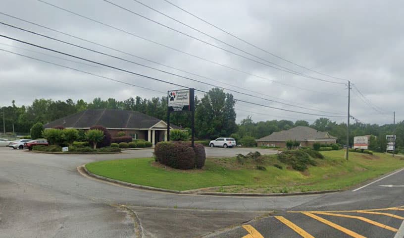 Piedmont Animal Hospital Services
