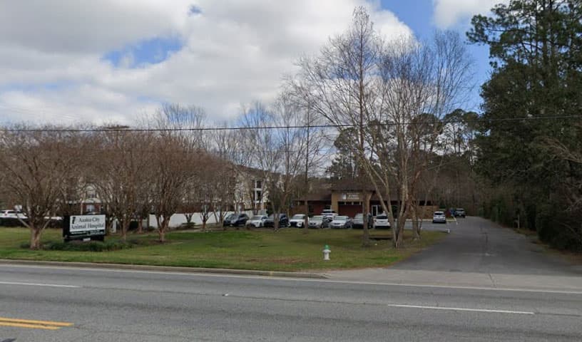 Azalea City Animal Hospital