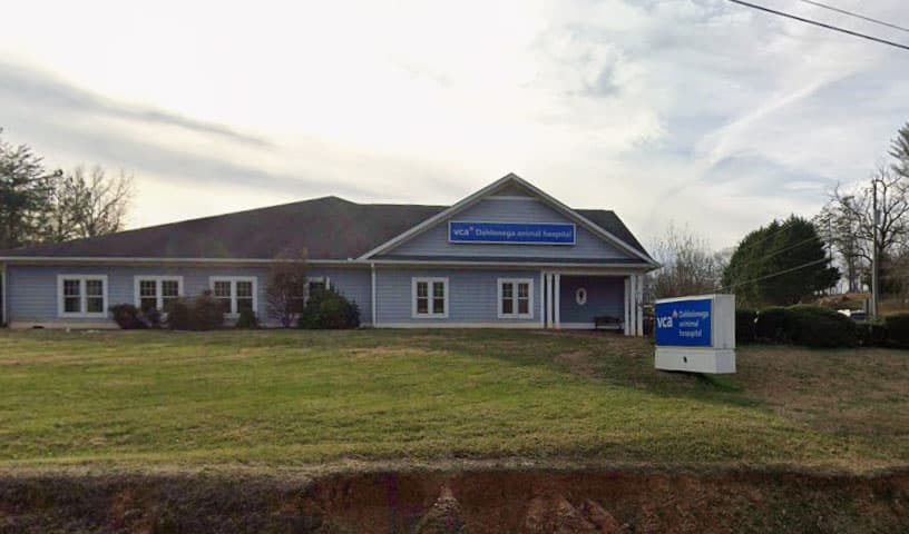 VCA Dahlonega Animal Hospital