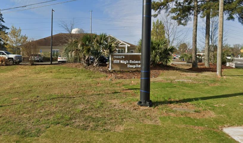 Hill High Animal Hospital
