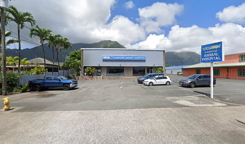 VCA Kaneohe Animal Hospital