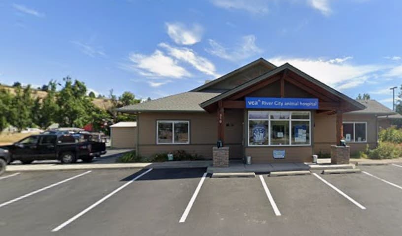 VCA River City Animal Hospital