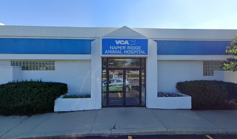 VCA Naper Ridge Animal Hospital
