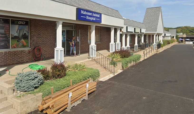 Mahomet Animal Hospital