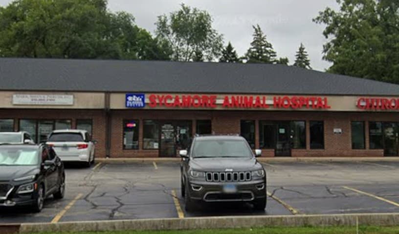 Sycamore Animal Hospital