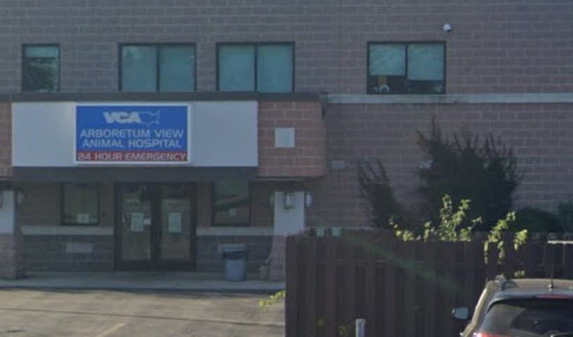 VCA Arboretum View Animal Hospital