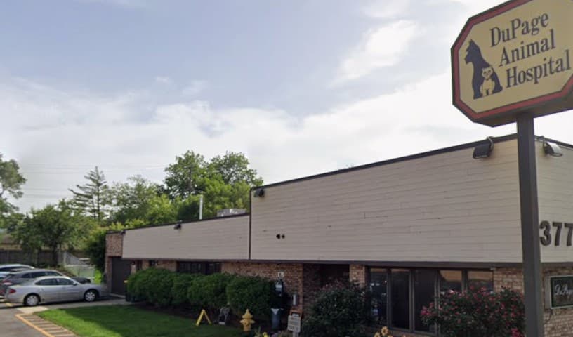 DuPage Animal Hospital