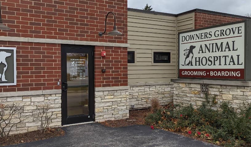 Downers Grove Animal Hospital & Bird Clinic