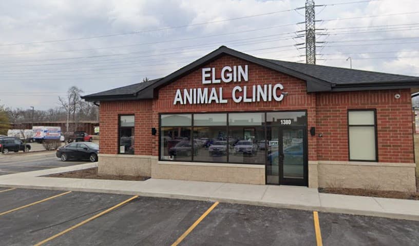 Elgin Animal Clinic