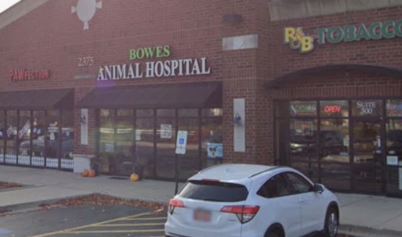 Bowes Animal Hospital – Urgent & Wellness Care