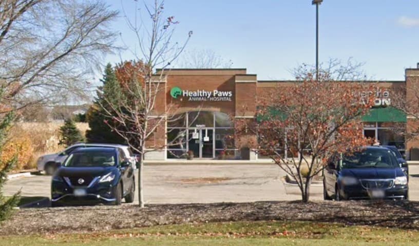 Healthy Paws Animal Hospital