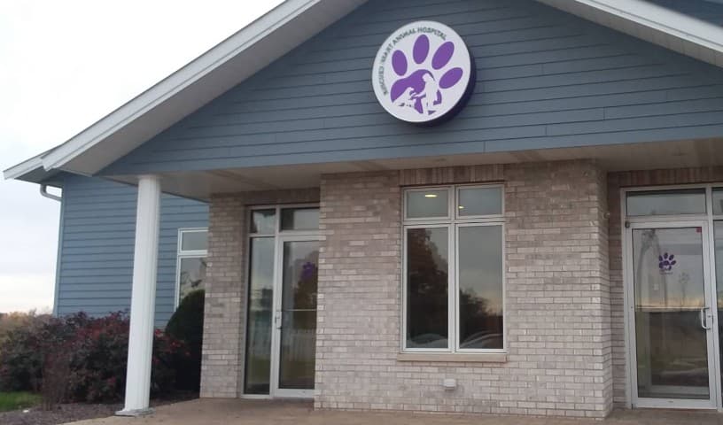 Rescued Heart Animal Hospital