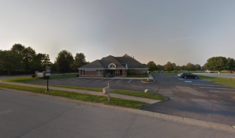Windermere Animal Hospital