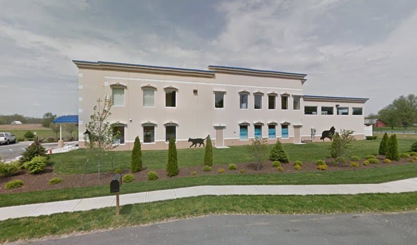 Angel Animal Hospital
