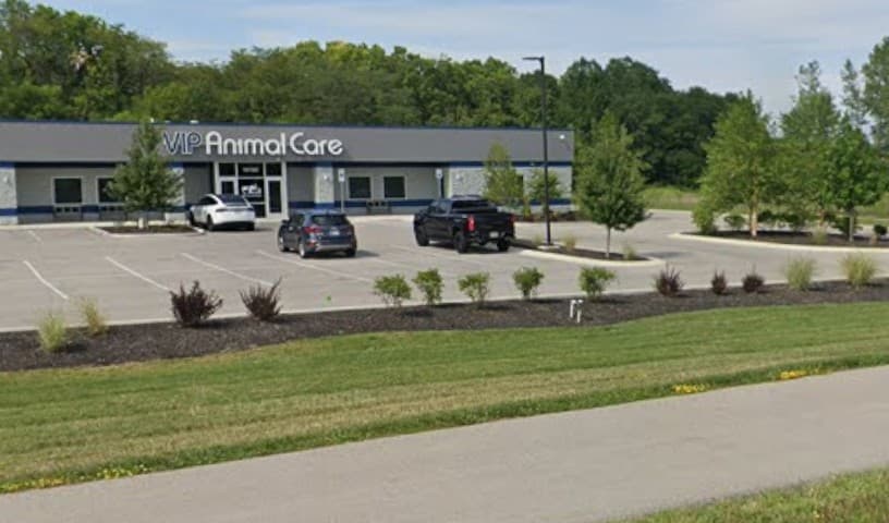 VIP Animal Care